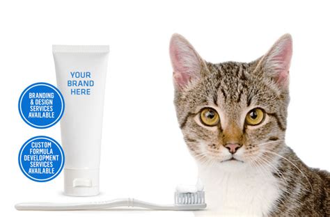 all natural cat toothpaste.